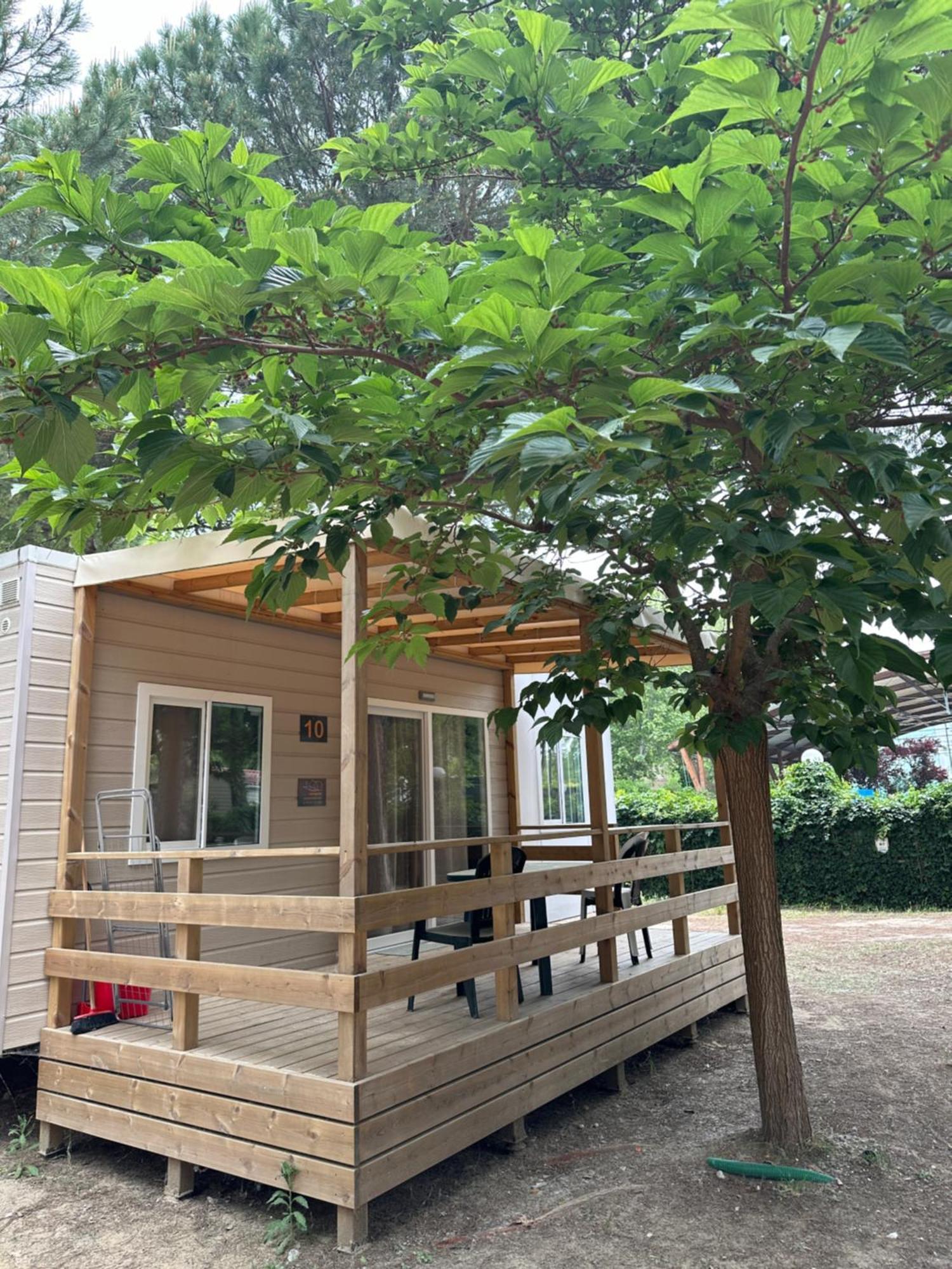 New Campsite In Cesenatico Camping Village Экстерьер фото